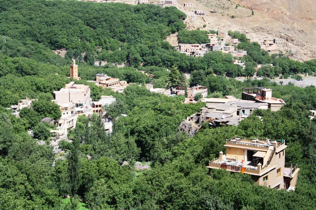 Jnane